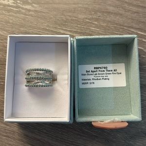 BP ring size 11 Luxe Band “Set Apart From Them All”
